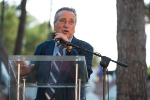 Fernando Roig Villarreal